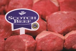 Picture of scotch beef