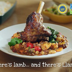 Welsh Lamb TV advert from HCC set to reach millions of viewers