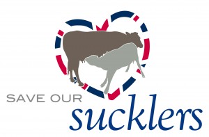 Ladies in Beef has launched its Save our Suckler campaign today.