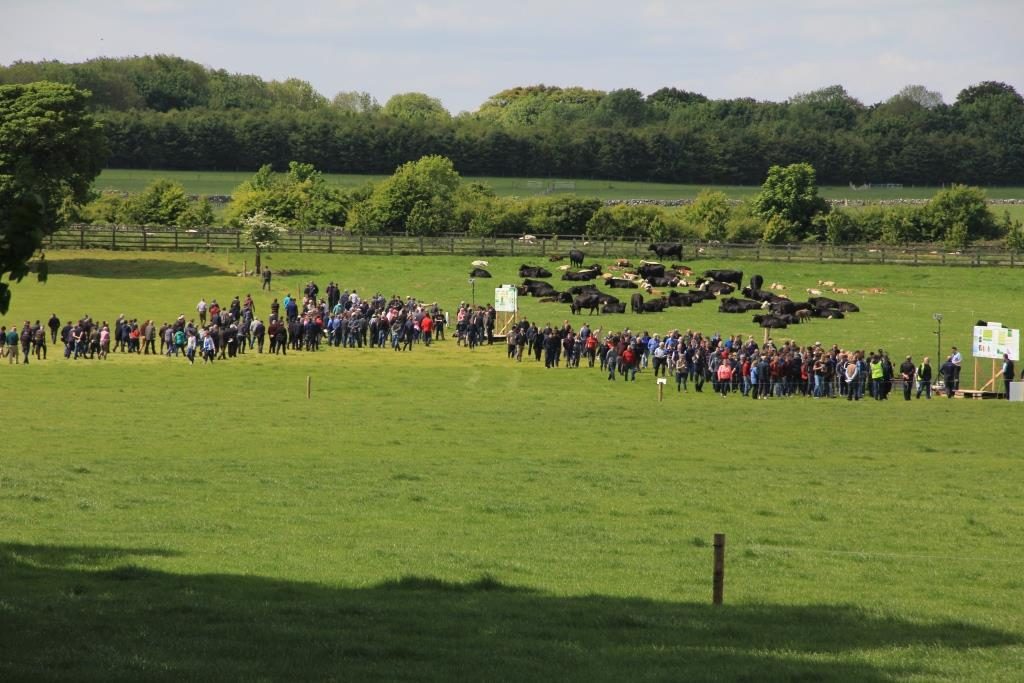 Some of the 2,000 farmers who attended the Dawn Meats farm open day at the Newford Suckler Demonstration Farm in Athenry.