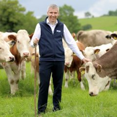 Progress on Irish Grass Fed Beef PGI welcomed by LMC