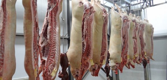 Manchester abattoir fined for food safety violations