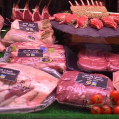 Red Meat Development Programme findings to be published