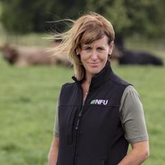 NFU report urges government to back British