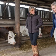 Ministerial support in Great British Beef Week