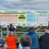 Dawn Meats demonstration farm reveals promising sustainability results