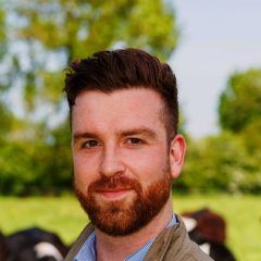 Bord Bia appoints UK meat market specialist
