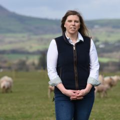 Welsh lamb on its way to Japan, says HCC