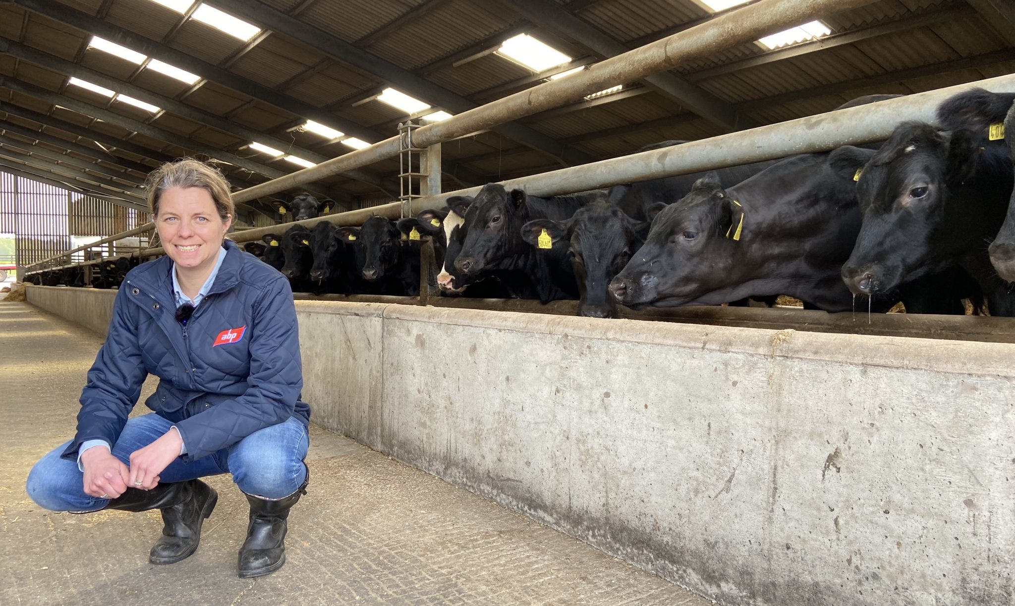 ‘Landmark’ sustainable red meat programme fills all 350 places in six ...