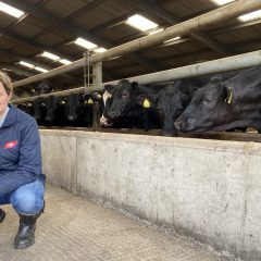 ‘Landmark’ sustainable red meat programme fills all 350 places in six months