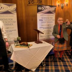 Scotch lamb celebrated globally on St Andrew’s Day
