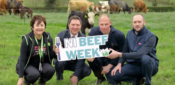 LMC partners with industry for NI Beef Week
